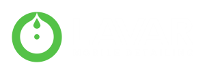 LAVAR Mobile Detailing